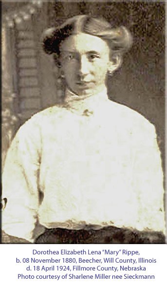 maryrippe.jpg