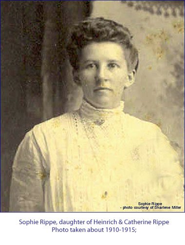 sophierippe.jpg